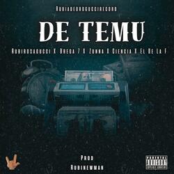 DE TEMU (feat. Brega 7, Zunna, El De La F, La Ciencia & RubiNewman prod)