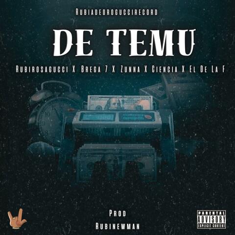 DE TEMU (feat. Brega 7, Zunna, El De La F, La Ciencia & RubiNewman prod)