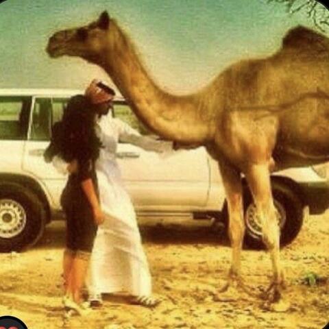 Arabian Dreams (feat. Spring Lady)
