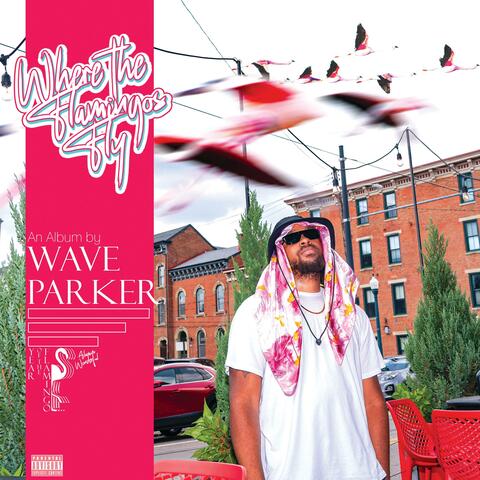 Where the Flamingos Fly