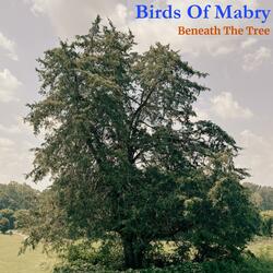 Birds of Mabry (Beneath the Tree)