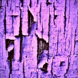 Spirits May Be Watching, But They’re Very Bored