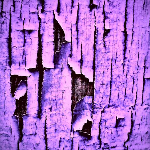 The Haunted Nylon Suite