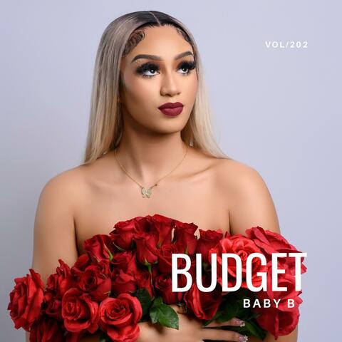 Budget