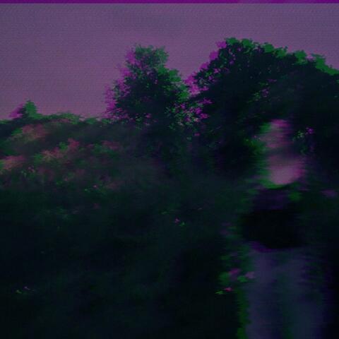 Tell me to stay