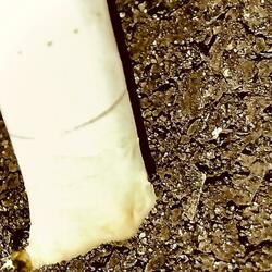 Unmemorable As It Was Intended To Be