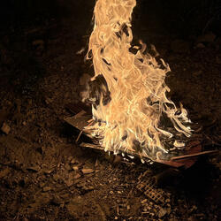 a dream of what once was