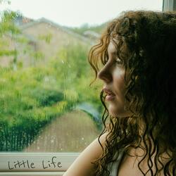 Little Life