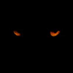 Eyes (Pop Out)
