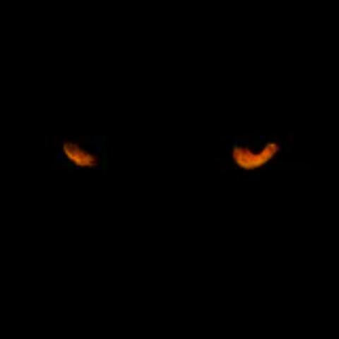 Eyes (Pop Out)