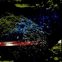 Jumping Jaguars In The Jungle