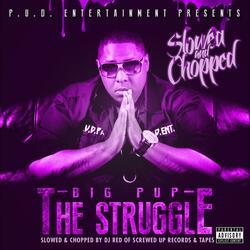Get You Some Bidness (feat. DJ Red) (Slowed & Chopped)