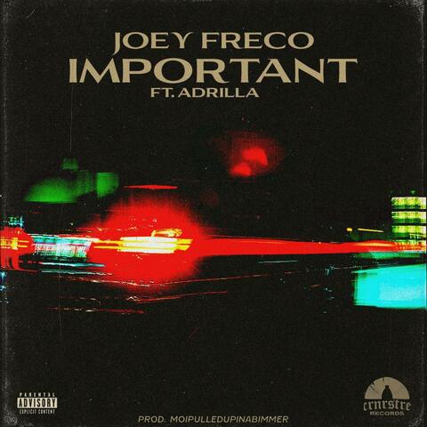 IMPORTANT (feat. Adrilla)