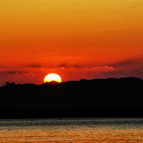 Delight in the light___ sun (Radio Edit)