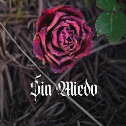 Sin Miedo (feat. David Ortiz)