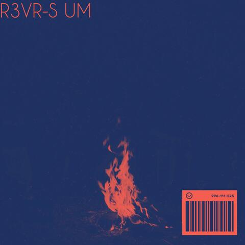 R3VR-S UM