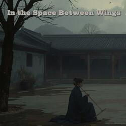 In The Space Between Wings
