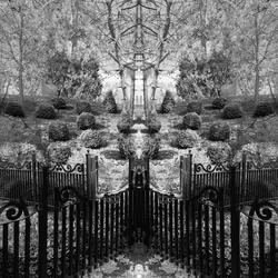 Within The Closing Walls