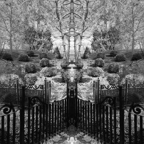 Within The Closing Walls