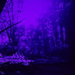 Rainy Evening