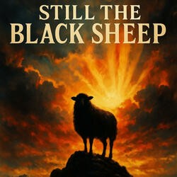 Still The Black Sheep