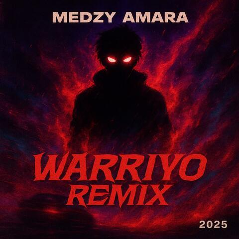Warriyo - Mortals (remix)