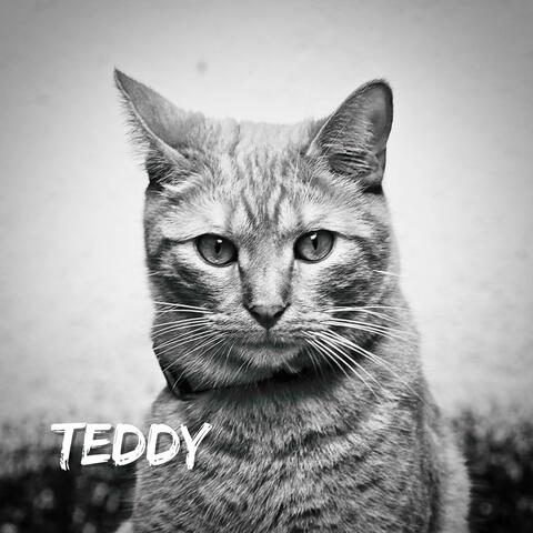 Hey Missy (Song for an Unwilling Opponent)