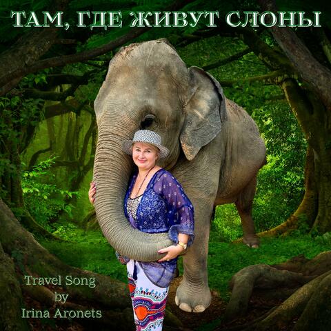 Там, где живут слоны