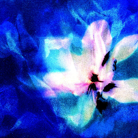 Fleur bleue (Acoustic Version)