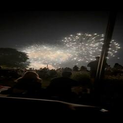 I Just Wanna Love You