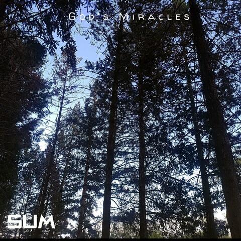God's Miracles (Instrumental )