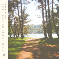 suimei. (live from a walk through the woods.)