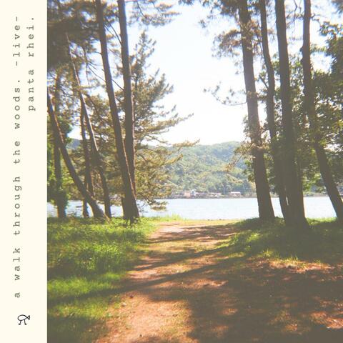 a walk through the woods. -live-