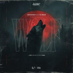 WOLF (arch1tect extended mix)