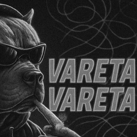 MEGA FUNK VARETA VARETA
