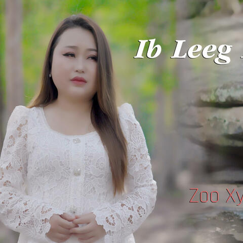 Ib Leeg Niam (feat. Zoo Xyooj)
