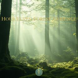 Hour Elven Forest Ambience