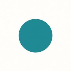 The WHY in your life?