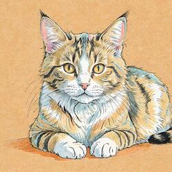 Ventana de Siesta – Ambientes de Sol para Tardes Perezosas