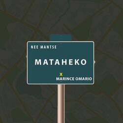 Mataheko