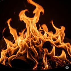 Silence in the Flame