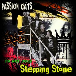 (I'm Not Your) Stepping Stone