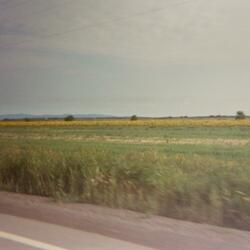 Seventeen (Acoustic Version)