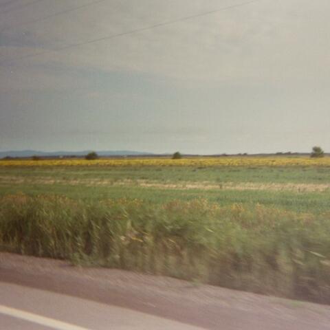 Seventeen (Acoustic Version)