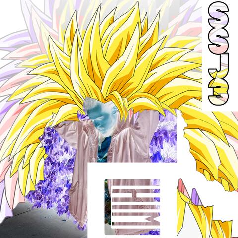 S S J 3