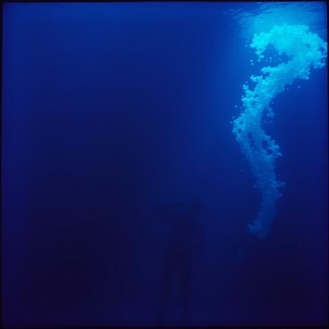 Into The Hollow