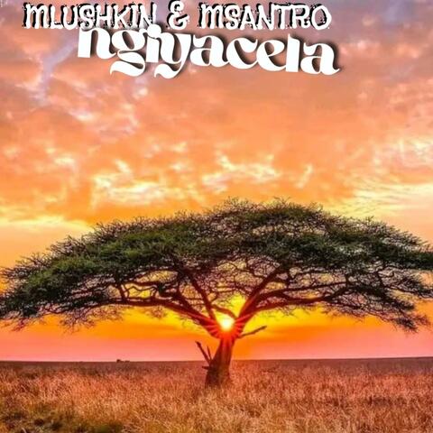 NGIYACELA (feat. Msantro)