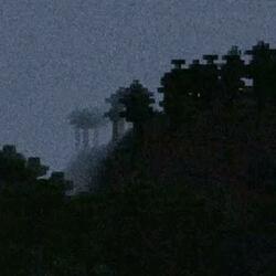 fog