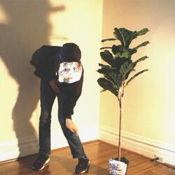 Brooklyn Hype (Not Me)