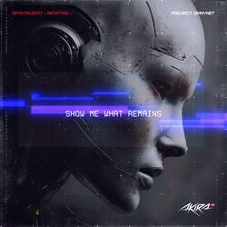 Show Me What Remains